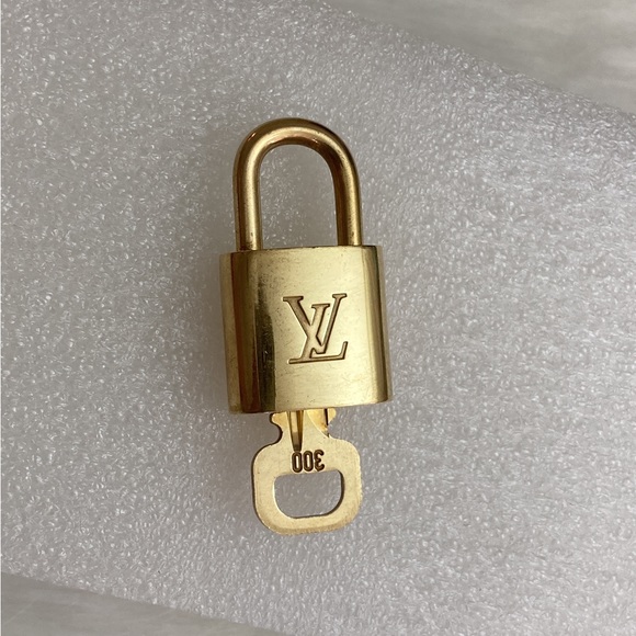 Louis Vuitton Accessories - Louis Vuitton 300